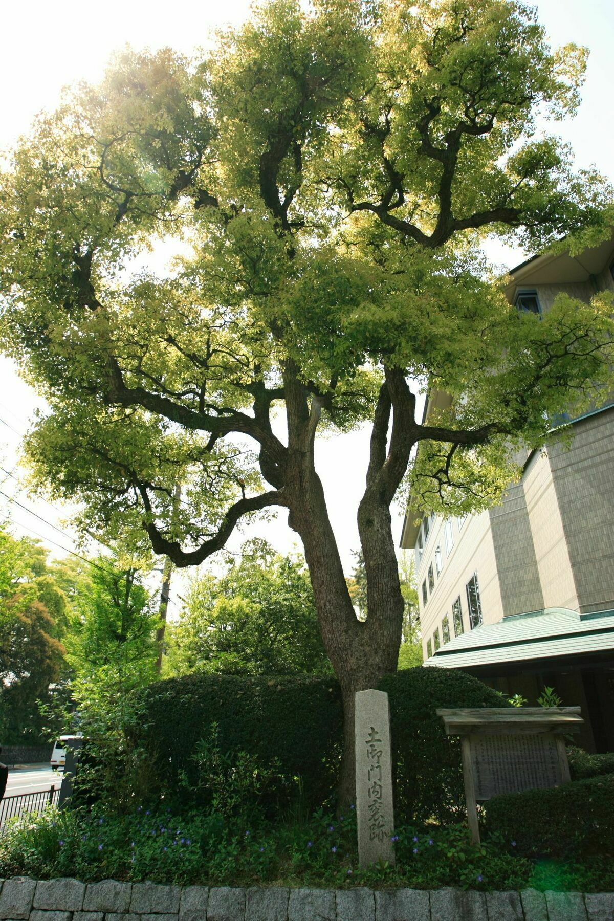 京都花园皇宫酒店 外观 照片